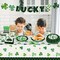 98PCS St Patrick's Day Party Supplies Green Irish Shamrock Tableware Set Lucky Shamrock Birthday Party Supplies St Patrick's Day Party Decorations Irish Shamrock Paper Plates and Napkins for 16 Guests